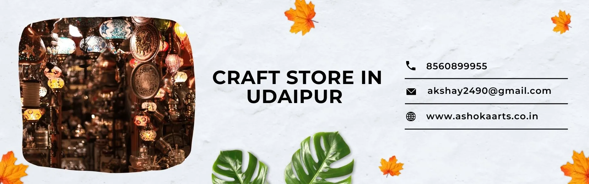 Craft Store in Udaipur
